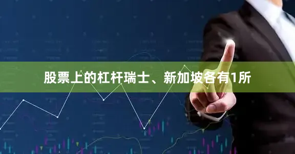 股票上的杠杆瑞士、新加坡各有1所