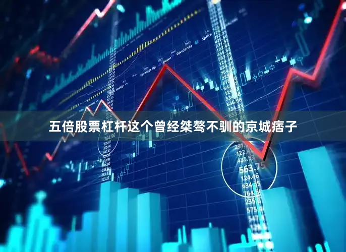 五倍股票杠杆这个曾经桀骜不驯的京城痞子